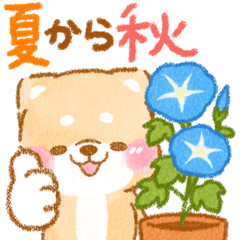 夏から秋❤️いやしばいぬ❤️柴犬/暑中/敬語