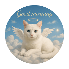 Cats in Heaven～white cat①