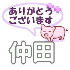 仲田「なかた」さん専用。日常会話