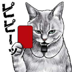 意外と使えるリアル猫の愛憎