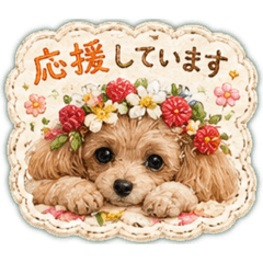 トイプードルの苺ちゃん ❶