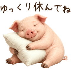 一年中使える♪ブタ