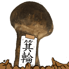 松茸研究家箕輪さんのマツタケ