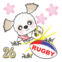 シーズー犬(春・ラグビー編) Vol.26
