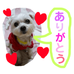 可愛い可愛い菜々スタンプ