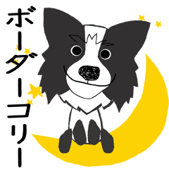 愛犬家の毎日スタンプ＊ボーダーコリーcute