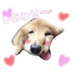 清水家のポテトくん②