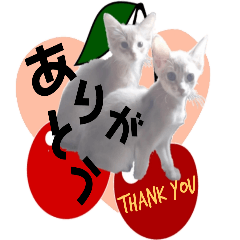 こねこ☆すたんぷ☆14