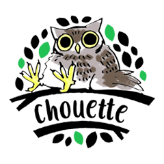 幸せのフクロウカフェchouette 大阪 心斎橋