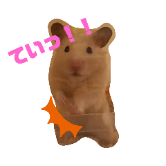 きなこときんたシリーズ1