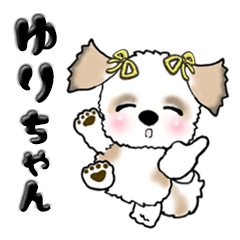 シーズー犬のゆりちゃん