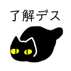 くろねこ モノさん