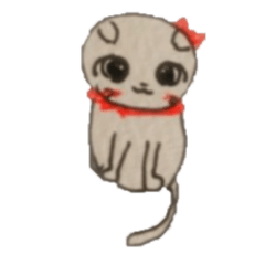 リボン首輪の可愛い猫ちゃん