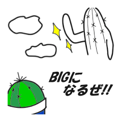 上から目線のサボテン　カクちゃん