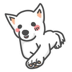 日本柴犬クルキ