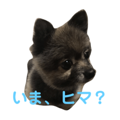 くぅーとゆきのスタンプ②