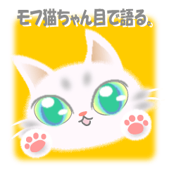モフ猫ちゃん目で語る。