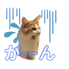 レオくんだよ！