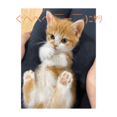 山本の専用スタンプ