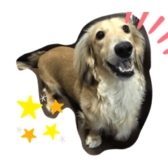 今日も今日とてみる