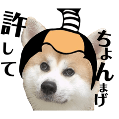 かぶりもの部長