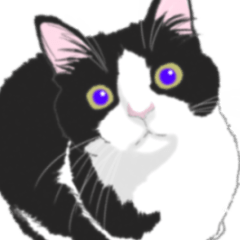 動く！ハチワレねこのシュー１