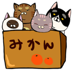 きなこさん家のねこたち