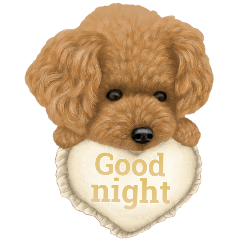 トイプードル（家族編＆小悪魔編）