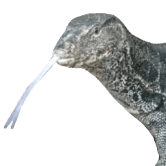 Monitor Lizard Talk Talk Pop-Up