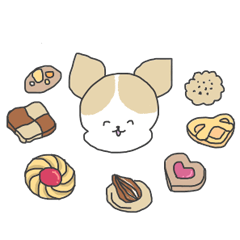 チワワチャンセイカツ