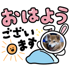 雪風ちゃんと仲間達の日常