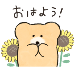 モコモカ 夏のご挨拶