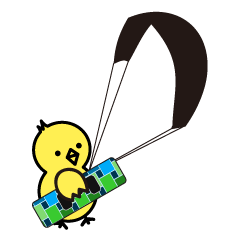 ピヨ太のカイト三昧♪