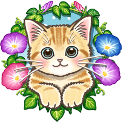 やさしい猫のポップアップ 5☆にゃつ(夏)