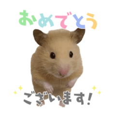 ちゃちゃこの日常