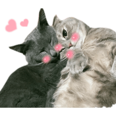 まさことちよこ。