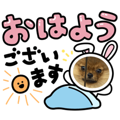 デコフレーム　スタンプ