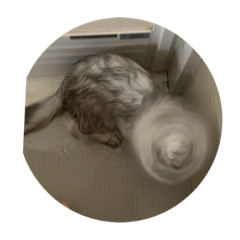 我が家の癒し！