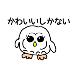 元気をくれる鳥たち４