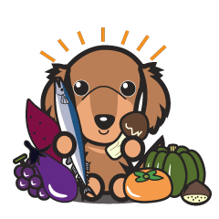 ダックスフンド　秋の味覚ver.