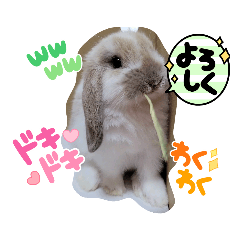 つくねの可愛いスタンプ"(∩>ω<∩)"