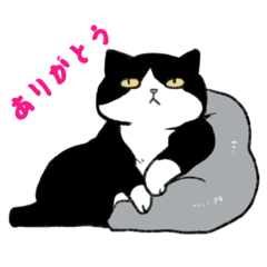 はちわれぼんぬ2