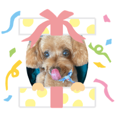 わんころみるちゃん