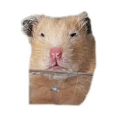 かわいいつみちゃん