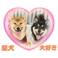 柴犬007スタンプ