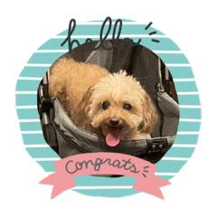 ゆっちゃんですよー