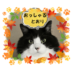 ネオの気持ちPartIII