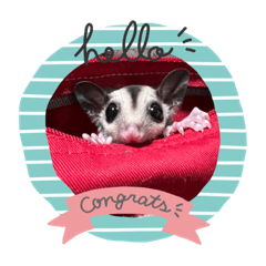 毎日わちゃわちゃ。