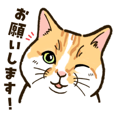 ねこまみれ（ゆるっと敬語・多め）
