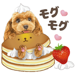 ず〜っと使える かわいい犬❤️モグプードル